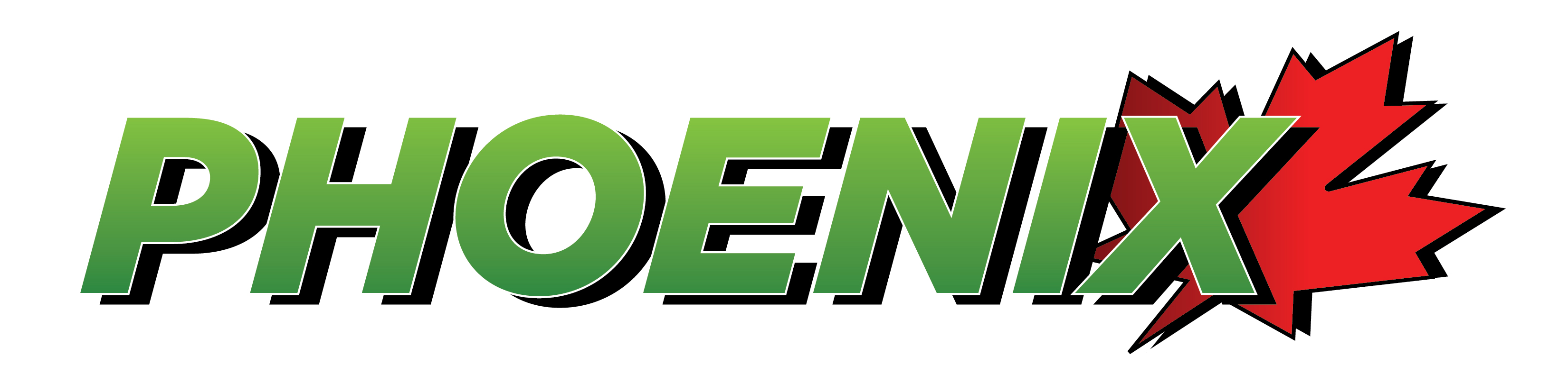 Pheonix Skin Care Logo